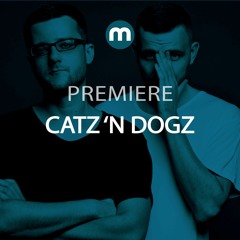 Premiere: Catz 'N Dogz 'It's Happening'