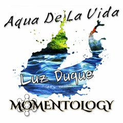 Luz & Momentology - Aguaita Aguaita