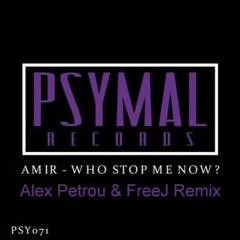 Amir- Who Stop Me Now? (Alex Petrou & FreeJ Remix)