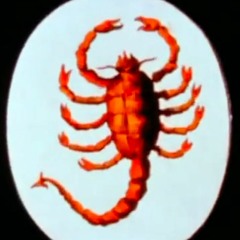 SCORPIO #2 🦂 🦂 🦂