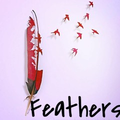 Feathers