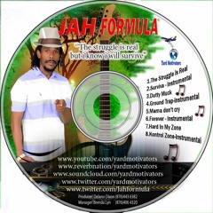 JAH FORMULA   THE STRUGGLE IS REAL