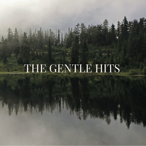 THE GENTLE HITS - Walk Out
