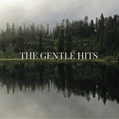 THE GENTLE HITS - Hospital Bed