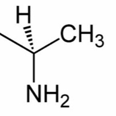 fritte [live] - synthetisiert