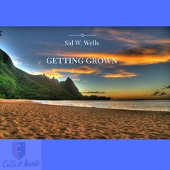 Sid Wells - Getting Grown (prod.by cormill)