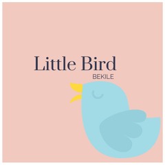 Little Bird