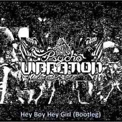 Chemical Brothers - Hey Girl Hey Boy (Psycho Vibration Bootleg)