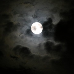 Bye Autumn, Saltnpaper