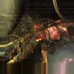 basic Beat023298 - Asstraak