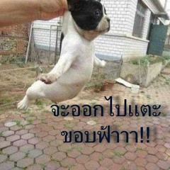 TJR vs. DJ Snake & Nom de Strip feat. Savage - We Wanna Party vs. Propaganda (Dj_makam Mashup)