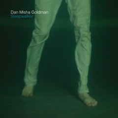 Dan Misha Goldman - Sleepwalker