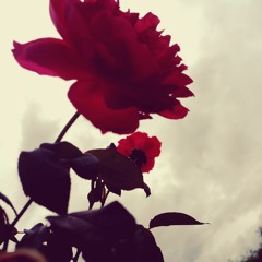 Thenyongdho By Jigme Nidup From Boom Badha Chimi Rinzin