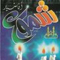 جهاديات