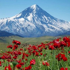 دوباره میسازمت وطن، کامبیز روشن‌روان و بیژن بیژنی