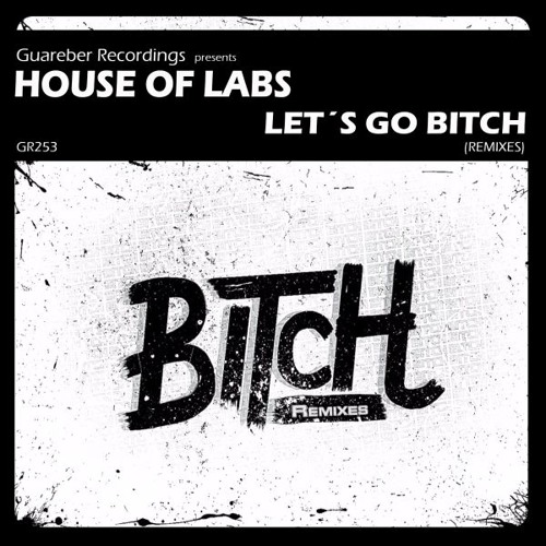 House Of Labs - Let's Go Bitch (Thomas Solvert Remix)