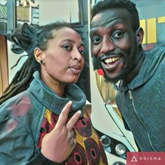 SOLIDO (Van Data & Nazizi)