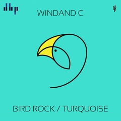 FULL PREMIERE : Windand C - Turquoise (Original Mix) [Capital Heaven]