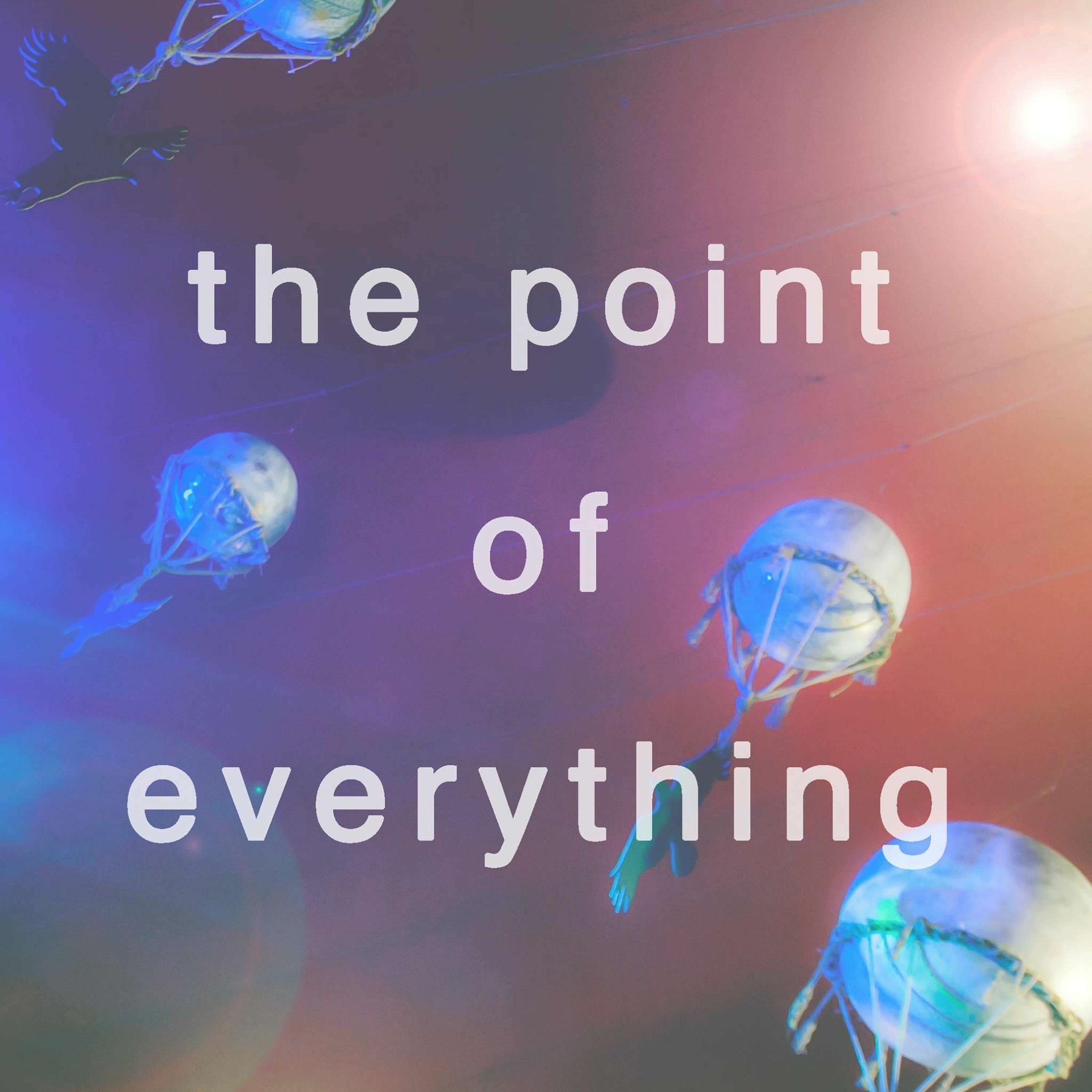 The Point of Everything