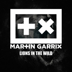 Lions In The Wild - Martin Garrix & Third Party ( remix Mister LEWIS )