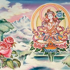 OM TARE WISDOM ANGEL - OmTara Meditation Mix