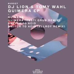 Dj Lion, Tomy Wahl - Quimera (Original Mix) New Violence Records
