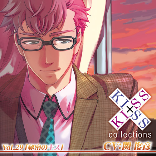 キスリト29個 トリックスター / ZX-10R(21-25) 政府認証スリップオン