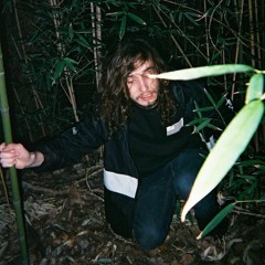 YuhPouya