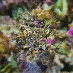 DJ Clipz !! Slippery Slopes Remix (DjLiamD)