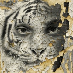 Big Boogie - Girl Go (Shake Something)