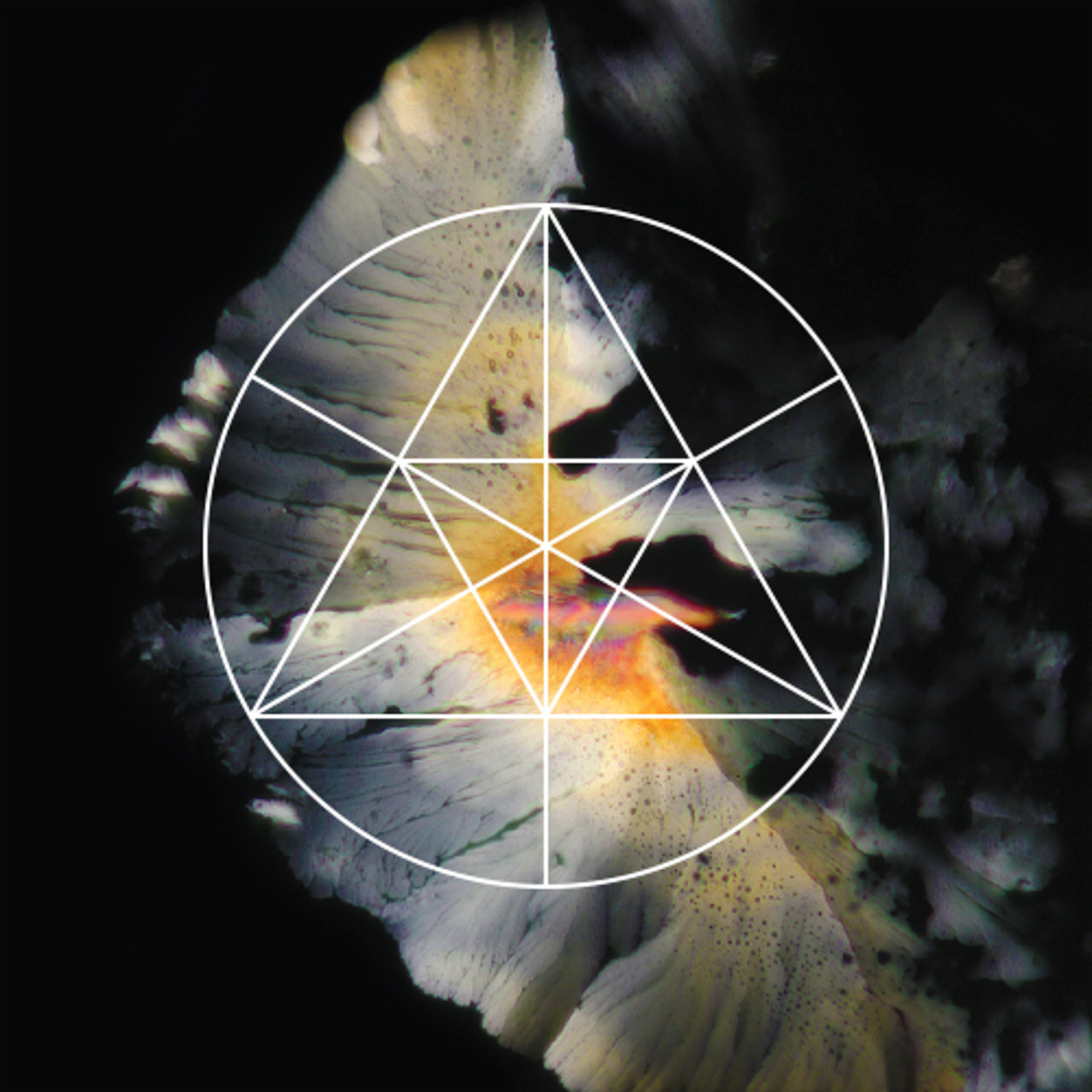 Mysteries of the Deep