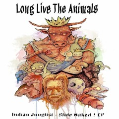 04 Indian Junglist - Dunning - Kruger Effect