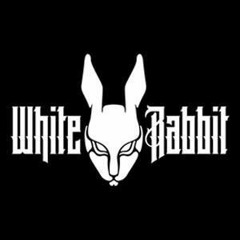 Follow the White Rabbit - PREVIEW