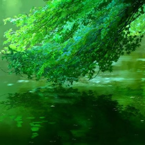 Jinsang - Affection.