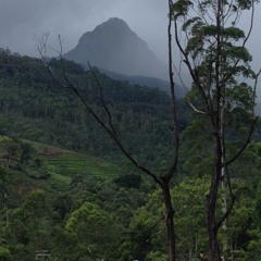 Sri Pada on a rainy day
