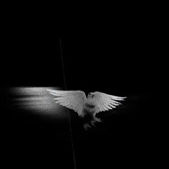 Lotw - El Eco De Su Voz - Behold (Then Sings My Soul) Hillsong Worship En Español