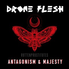 Drone Flesh x Rotten Prostitutes - Antagonism & Majesty