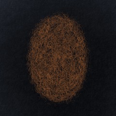 Eli Keszler - Last Signs Of Speed