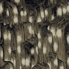 Trevor de Brauw - They Keep Bowing