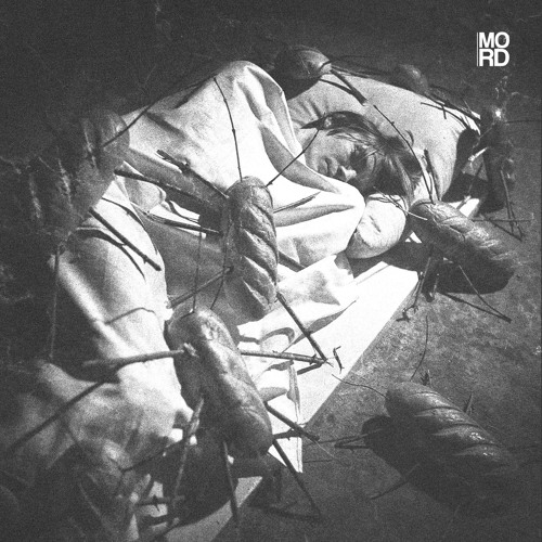 MORDLP002 - Stanislav Tolkachev - When you are not at home [previews]