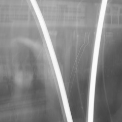 Valley (VllY) - Sycamore