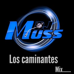 LOS CAMINATES MIX BY DJ MUSS
