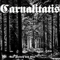Black Metal From Deep Underground.WAV