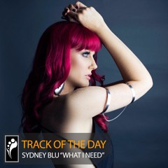 Track of the Day: Sydney Blu “What I Need”