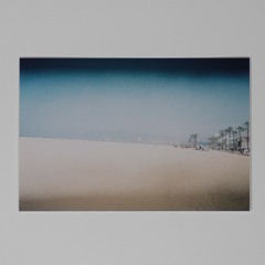 World's On Fire (Zeabeast)