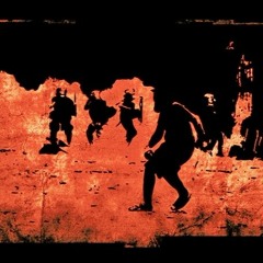 DMY X Hylidae - Fever '16