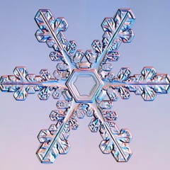 little up & wemmy mo - super cold (prod. l i n u s, kishie, stretch)