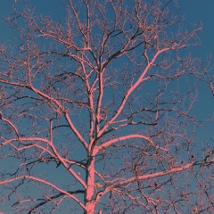 Pitchfork // MoMA PS1 Warm Up Mix: Cashmere Cat (Julien Remix)