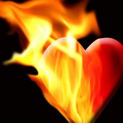 Amor Furioso (en español)