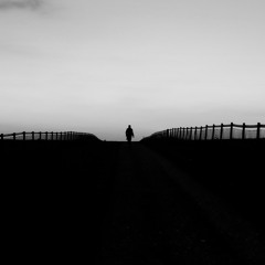 Ember Island - Can't Feel My Face (Severo X Derra Remix)